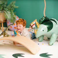 TRICERATOPS DINOSAUR